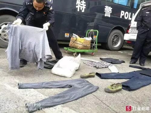 卖味网红被撞死,生命定格在璀璨的直播路上