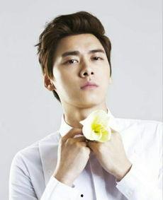 刘易峰明星,璀璨星途，多面人生