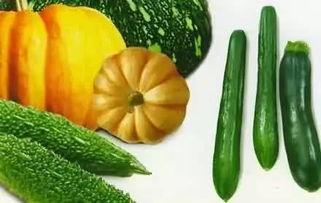 吃瓜新圈,揭秘娱乐圈幕后故事