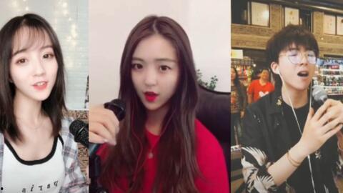 欧美歌曲 抖音网红,网红新宠引爆舞池