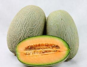 小丽吃哈密瓜,甜蜜的夏日邂逅