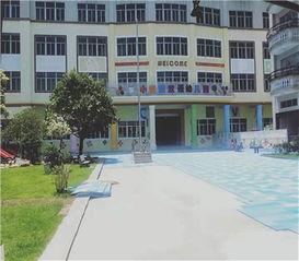 平安县大良镇新闻头条,聚焦最新动态，共话发展新篇章