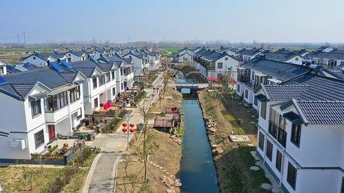 江苏盐城的网红村庄,田园风光中的魅力乡村之旅