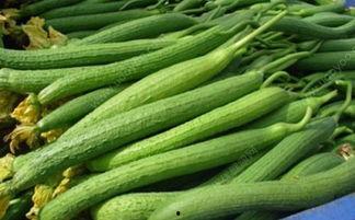 什么病人不宜吃絲瓜,哪些病人不宜食用絲瓜