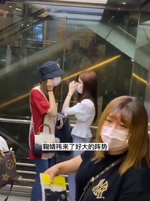 明星粉丝们的职业,揭秘明星粉丝的职业世界