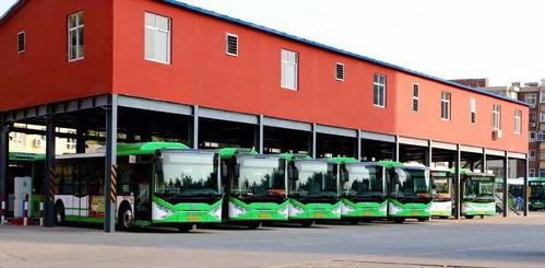 石家庄东光路新闻头条,多车连环相撞，交通严重受阻