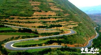 武山县头条2019,回顾2019年武山重大新闻与事件概览