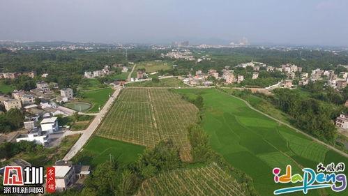 深圳南城今日头条新闻,聚焦今日热点，共话发展新篇章