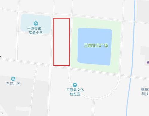 德州平原新区新闻头条,聚焦发展新篇章，共绘美好未来蓝图