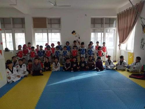 威县小明星,闪耀乡村的璀璨新星