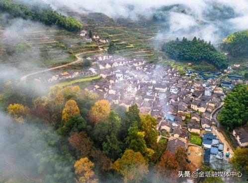 松阳区安乐镇新闻头条,聚焦乡村振兴新篇章