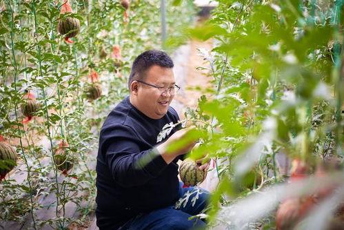 山东王冰吃瓜,瓜界新宠，吃瓜达人风采独树一帜