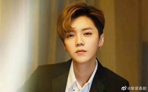 爆料鹿晗妈妈视频大全,温馨瞬间大盘点