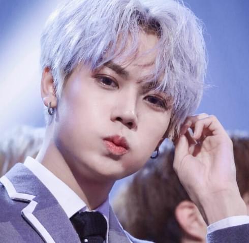 网红是俊,网红界的璀璨新星