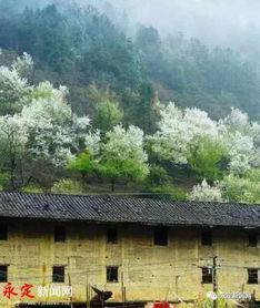 龙岩永定湖山乡新闻头条,乡村振兴新篇章，湖山乡焕发新活力