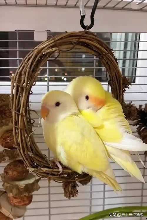 头条怎么看人的动态,揭秘头条如何捕捉用户动态