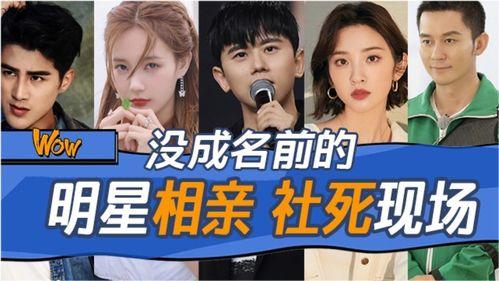 明星相亲剧,明星相亲剧甜蜜来袭，浪漫邂逅等你来见证