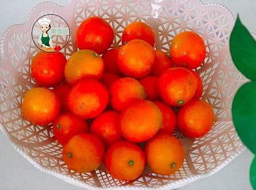 今日头条天山冰糖金桔,甜蜜滋补，冬日里的健康佳果