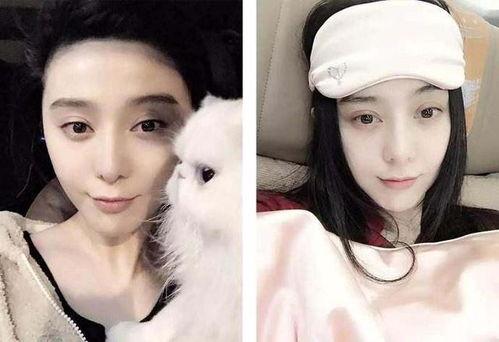 女明星一夜价格,女明星一夜价格背后的真相