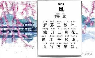 网红少年背古诗视频,网红少年背古诗视频走红网络