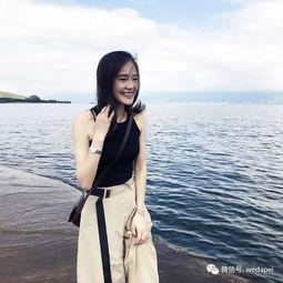 端庄优雅晚风头条号,探寻端庄优雅晚风头条号的魅力所在