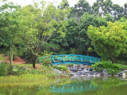 头条号灵动的溪流图片,自然画卷中的生命律动