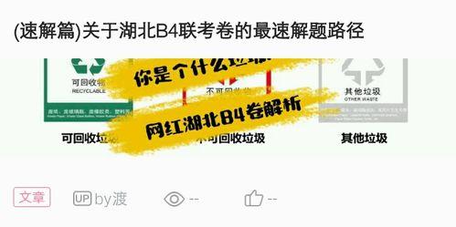 填空题网红,从网络红人到现象级影响力